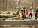 Bergung PKW im Rhein Hitdorfer Fähre P189355